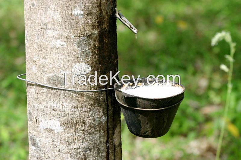 Sell Natural Rubber ( Svr 3l, Svr 10, Svr 20, Svr Cv 50, Svr Cv 60, Rss3)