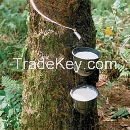 Vietnam Natural Rubber (SVR 20)