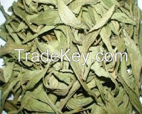 Stevia Leaves dry
