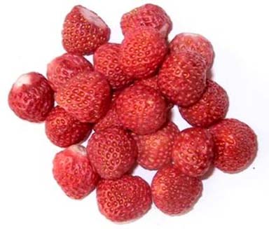 FD strawberries