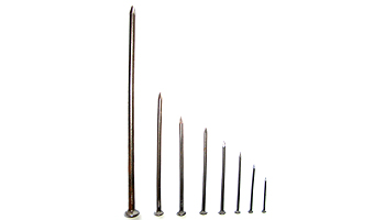 common nail