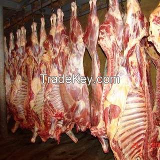 Frozen Beef Carcass Frozen Buffalo Meat, Hind Quarters, Fore Quarters, Offal, Tongue, Heart, Honey Comb, Knee Tendon, Tails etc.  