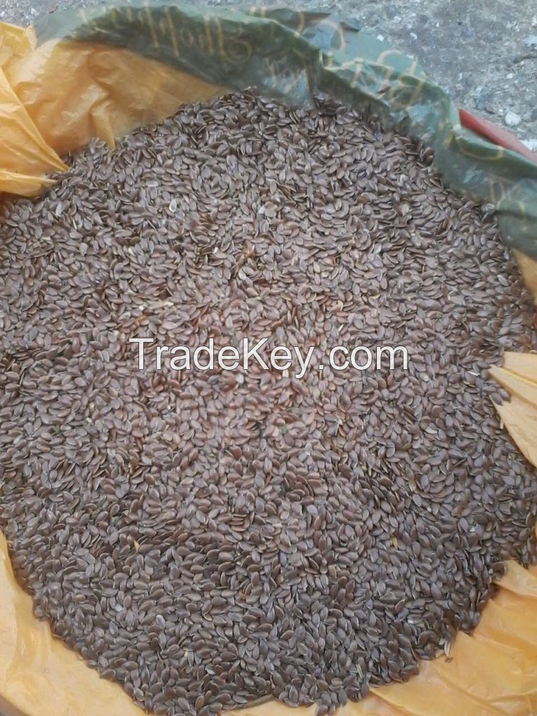 Flax Seeds