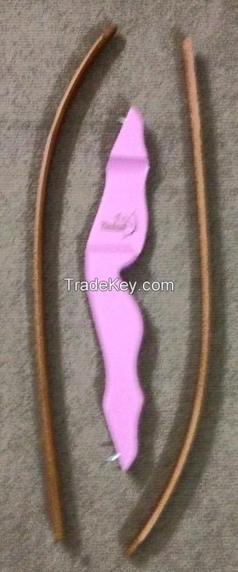 Takedown Recurve Bow