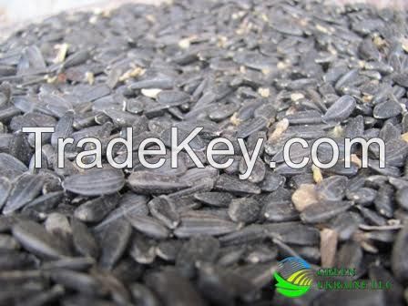 Sunflower seeds (sunflower)