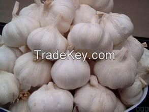 Pure White Garlic 2016 Crop