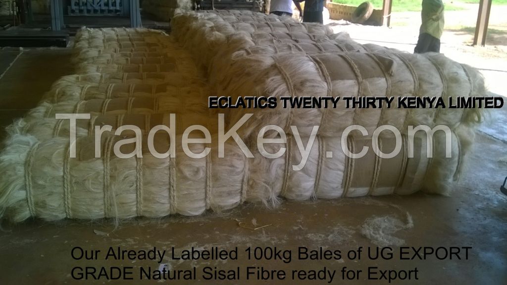 NATURAL SISAL FIBRE UG GRADE