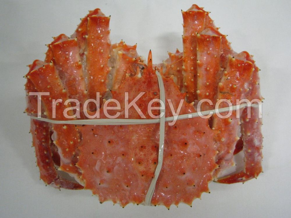 Scallop  meat and whole scallop for sale 