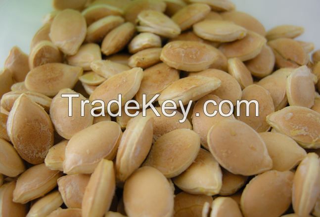 Squash Seeds