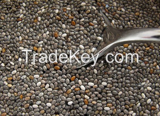 Chia Seeds