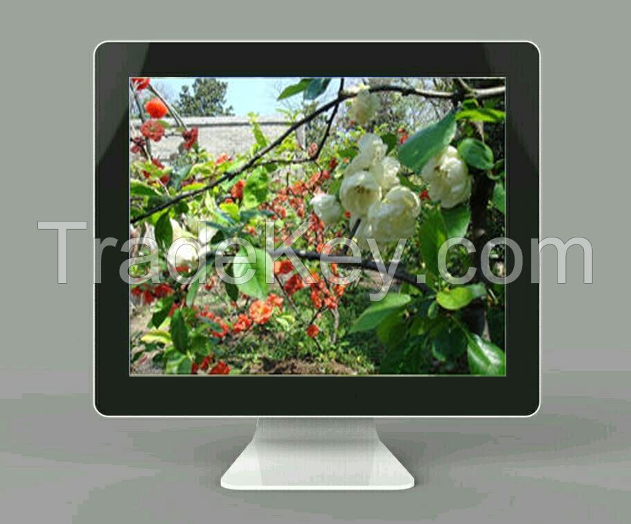 New 19 Inch Top Quality Television (Z19A)