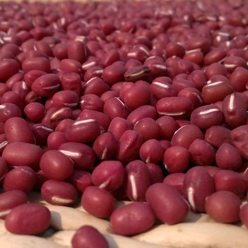 Small red bean