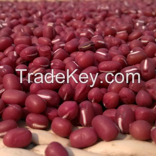 Small red bean for sale 
