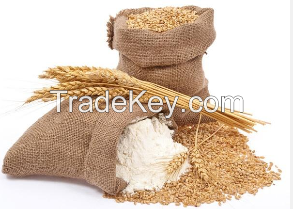 Wheat Flour (Bread Making & Pastry)