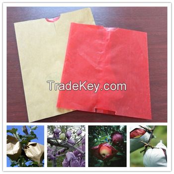 Apple growing bags