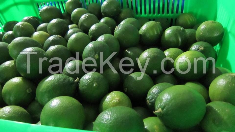 Fresh lime