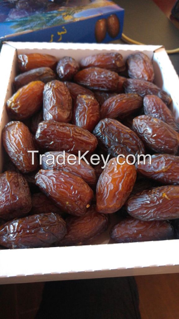medjool dates from Moroco