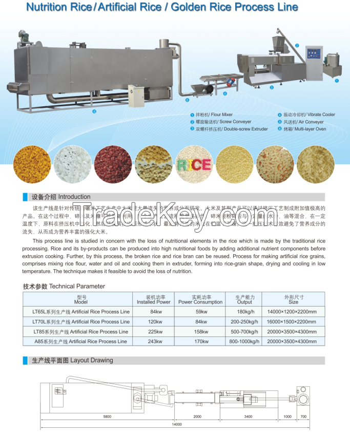 Artificial rice process line