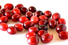 Cranberry Extract