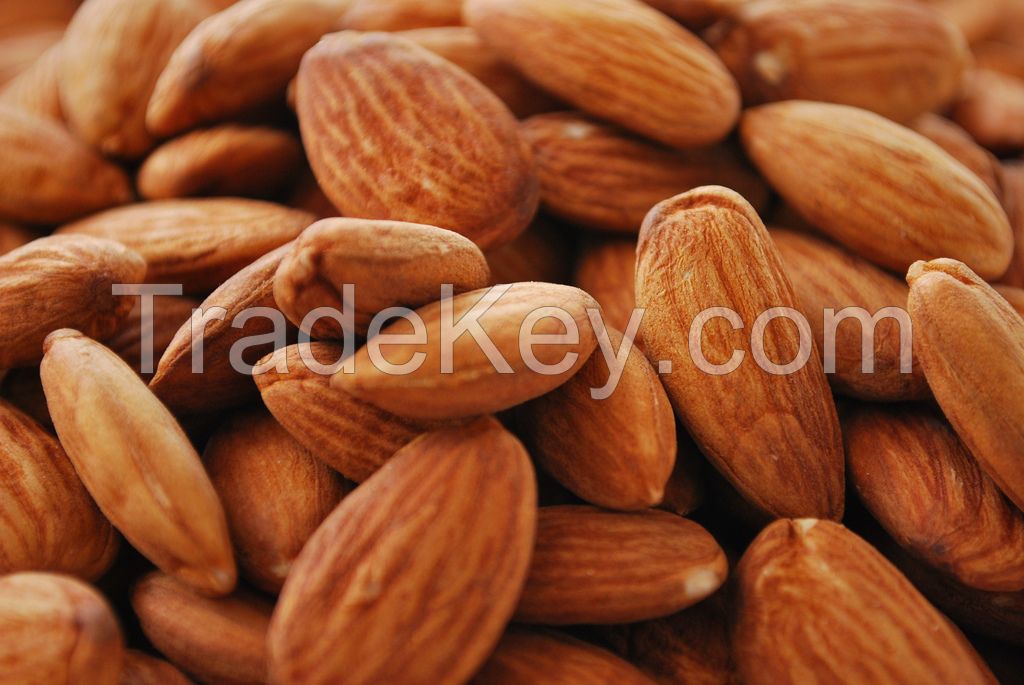 High Quality Almond Nuts 