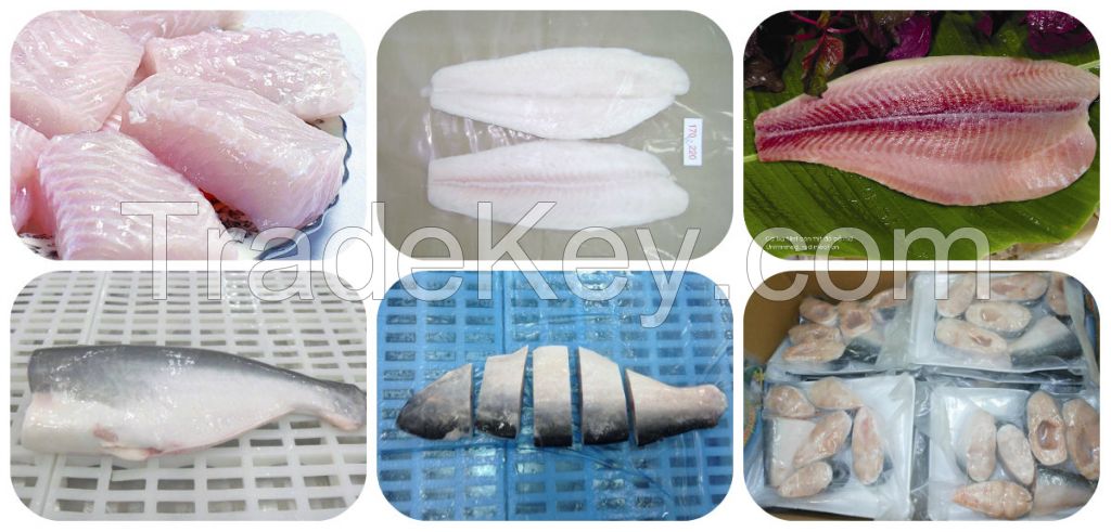 Frozen Basa/Pangasius fish