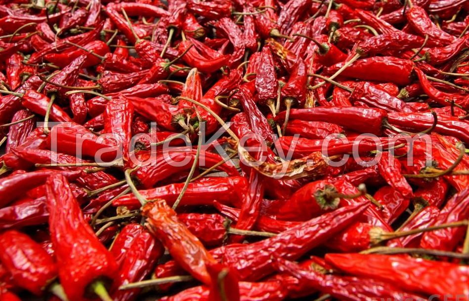 Dried Chili Pepper