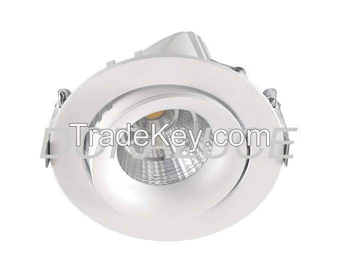 LED Down Light