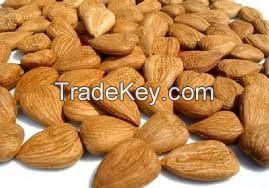 Almonds Seeds