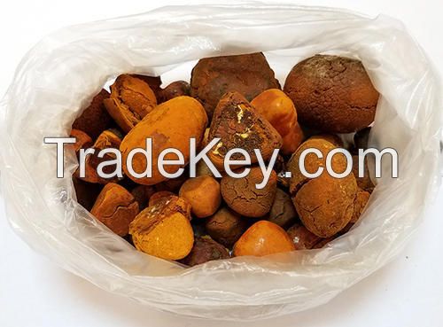 Ox Gallstones, Cattle Gallstones, Cow Gallstones