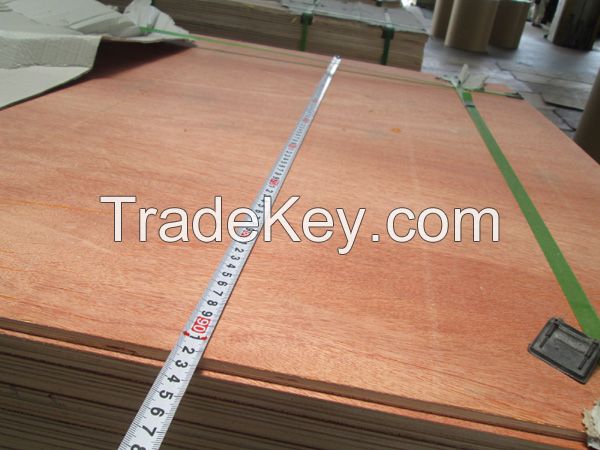 Poplar plywood/lvl okume Commercial plywood