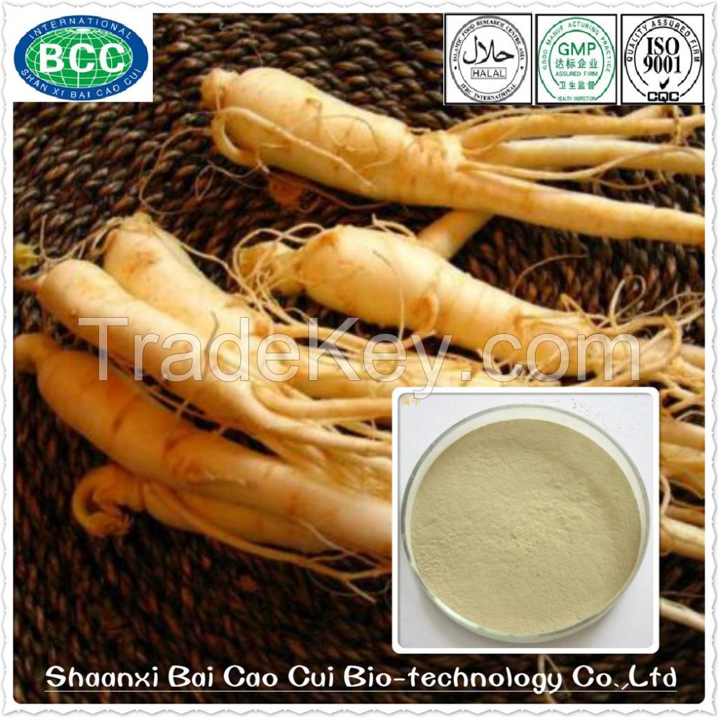 Factory Supply 100% Natural Ginseng Extract Powder for Nutraceuticals