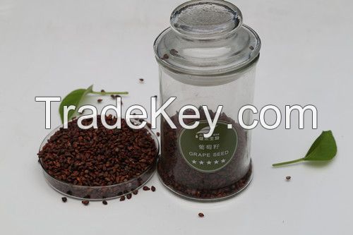 Jianhe Manufacture 100% Natural Grape Seed Extract