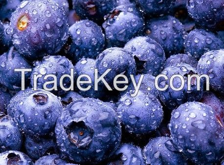 Cranberry/Bilberry Extract Proanthocyanidins PAC by D-MAC Method