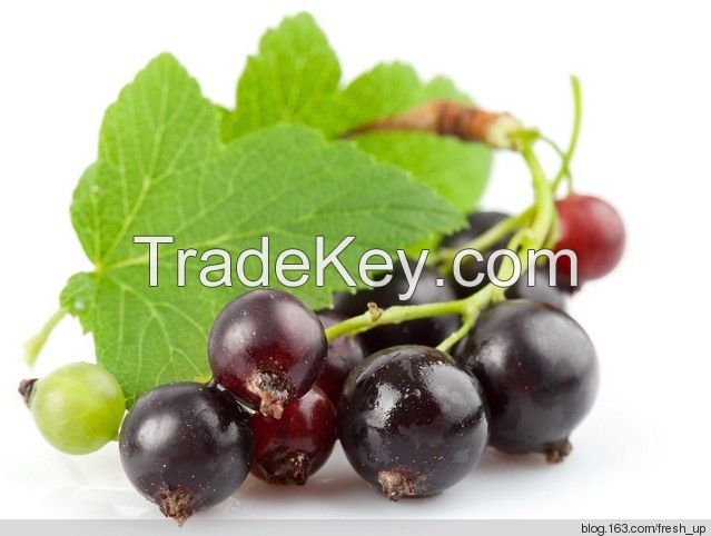 100% Natural Grape Skin Extract Resveratrol