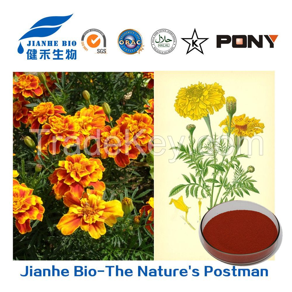 Marigold Flower Extract Zeaxanthin Lutein