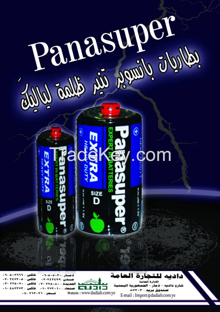 electronic battery PANSUPER brand