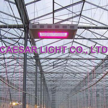 LED Plant Grow Light