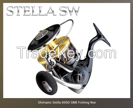New Shi-mano Stella 6000 SWB Fishing Reel