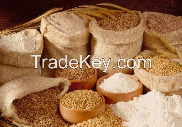 Rye flour