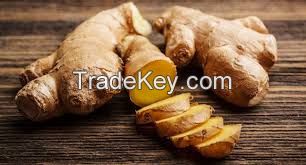 Ginger. Parsnip(mandioquinha) and Ginger from Brazil