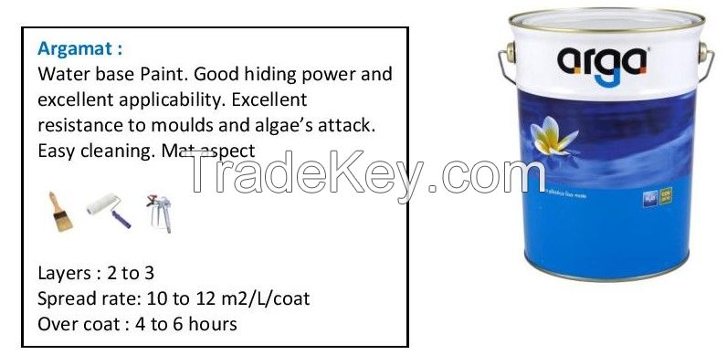 Paint for the building industry