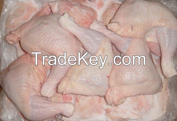 Halal Whole Frozen Chicken/ Frozen Chicken Feet/ Frozen Chicken Paws/ Frozen Chicken Wings/ Frozen Chicken Leg Quarters