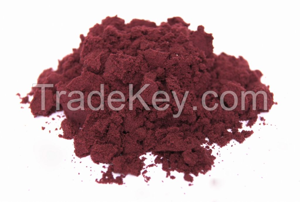 Acai Euterpe oleracea Freeze dried