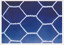 hexaganal wire netting ,crimped wire mesh,expanded metal