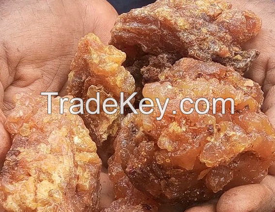 myrrh resin or gum