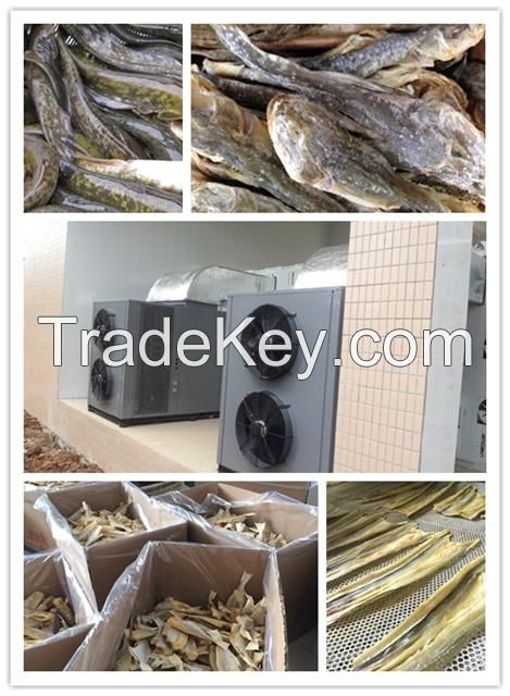 cat fish dryer