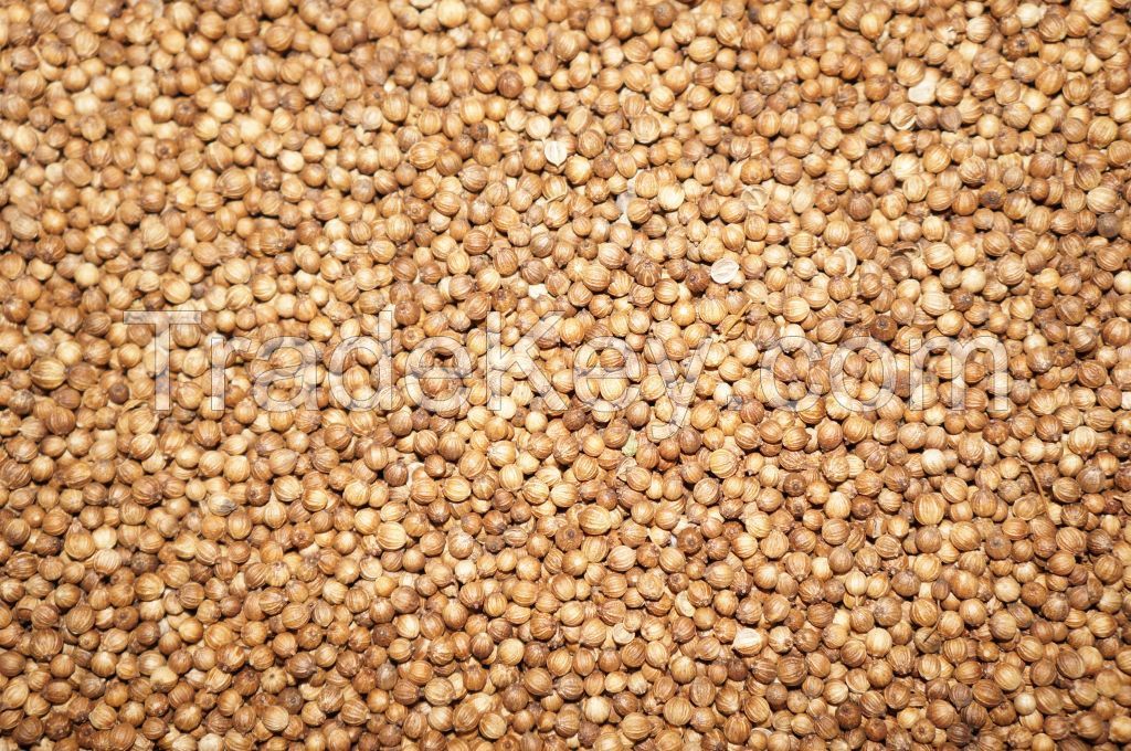 Hello! We are producers of agricultures in Russia. Sell: wheat, corn, chickpeas, lentils, mustard seed, coriander, sunflower oil, sugar and buckwheat. We can offer machine tyagochi truck Kamaz. We are exporting. Glad to cooperate. 