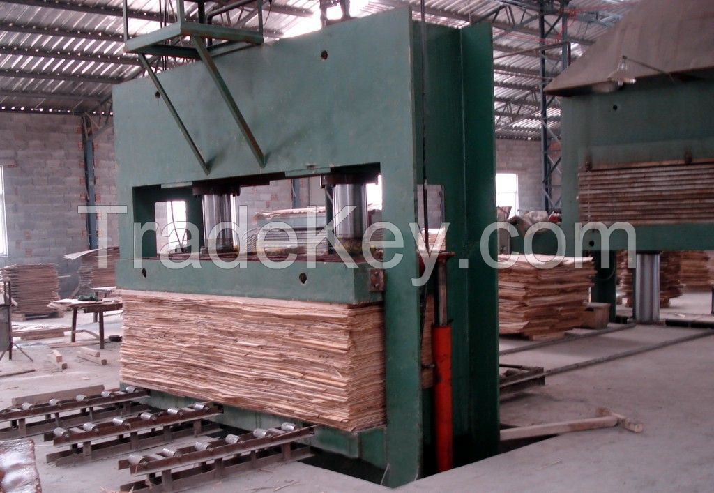 Hydraulic cold press/Ruifeng High Quality / High Efficiency Cold Press Machine