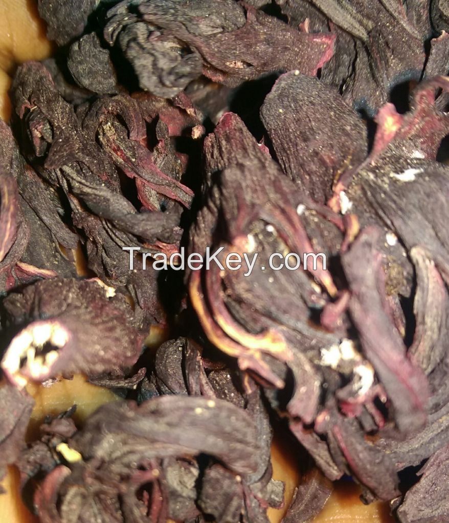 Hibiscus flower-Export ready