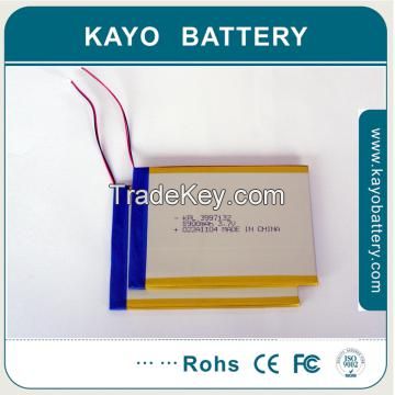 polymer battery for consumer electrics